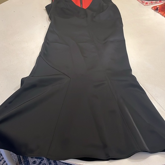 Silk long zippered back dress - Picture 3 of 9